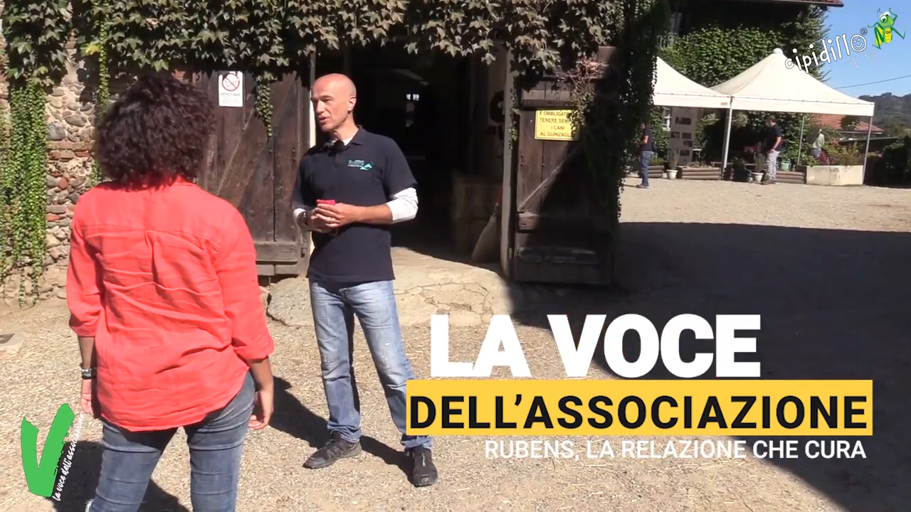 Featured image for “Torna la rubrica “La Voce dell’Associazione””